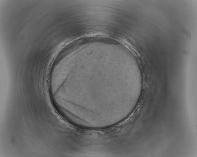 X0000111360193200908071200