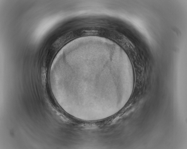 X0000111360194200908071200