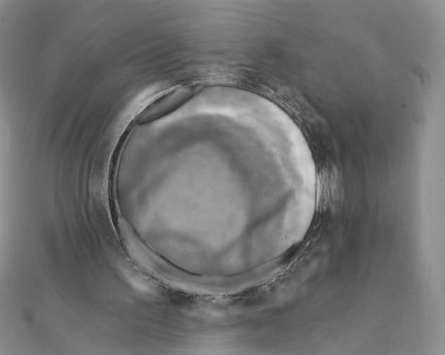 X0000111360195200908071200