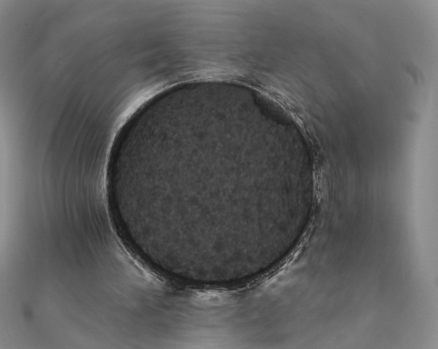 X0000111360196200908071200