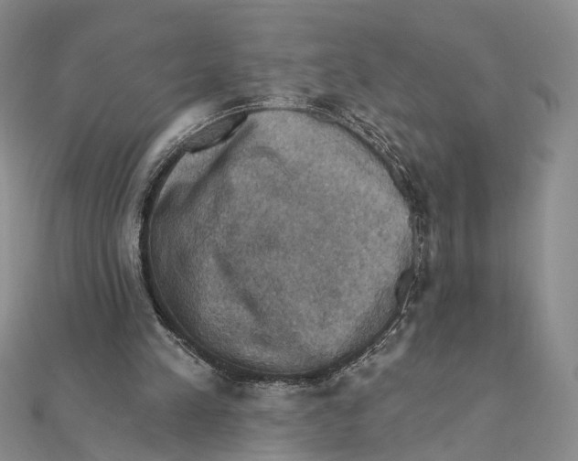 X0000111360197200908071200