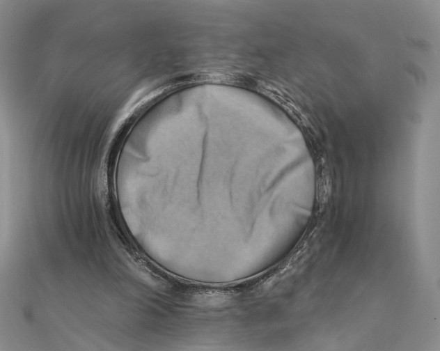 X0000111360198200908071200