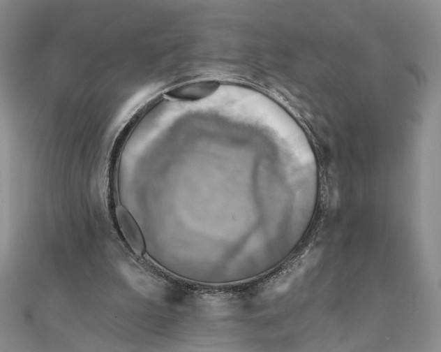 X0000111360199200908071200