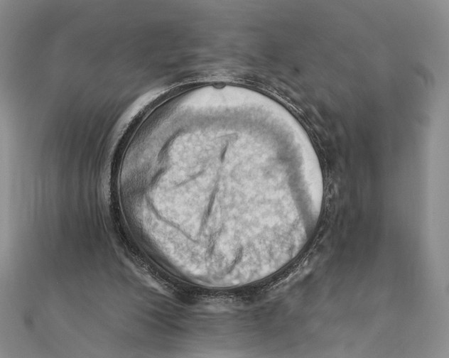 X0000111360200200908071200