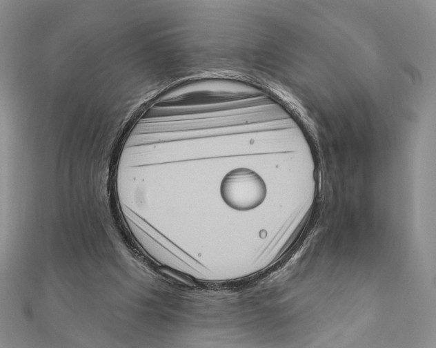 X0000111360201200908071200