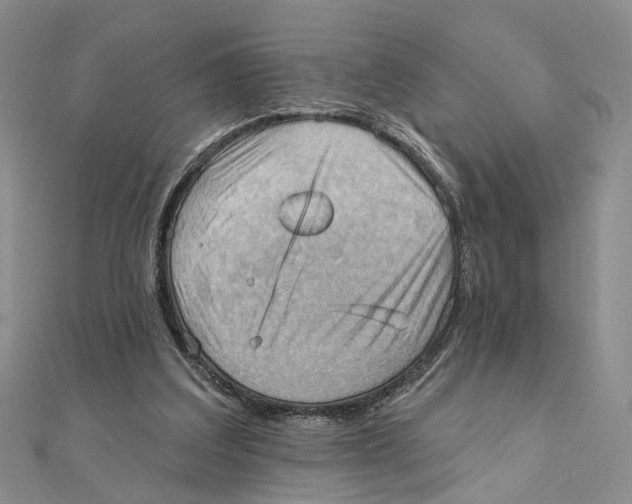 X0000111360203200908071200