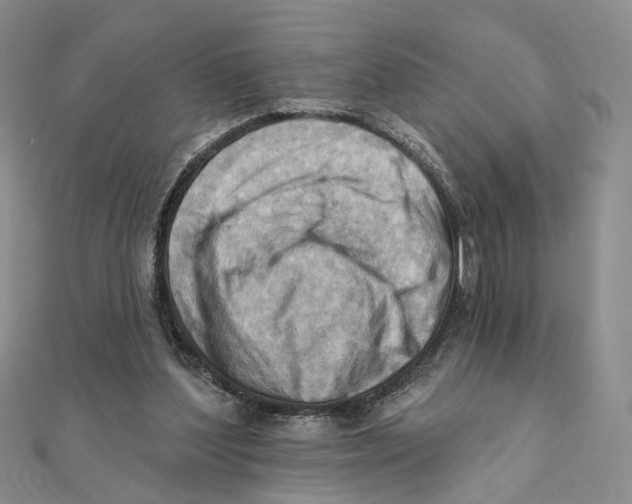 X0000111360204200908071200