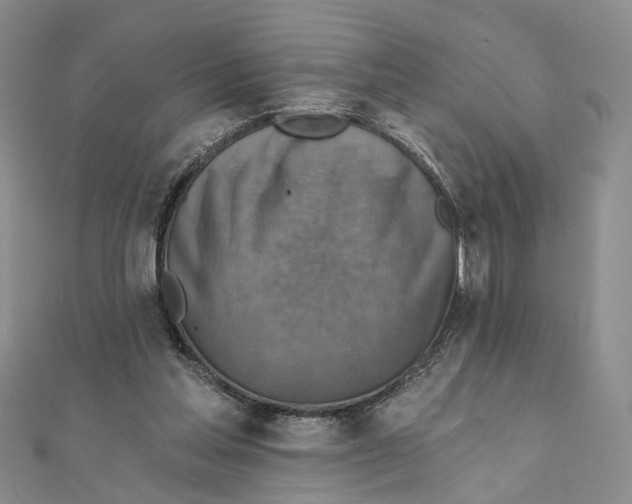 X0000111360205200908071200