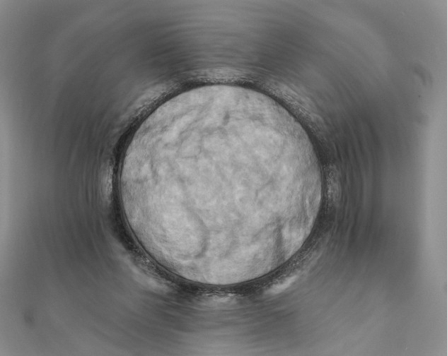 X0000111360206200908071200