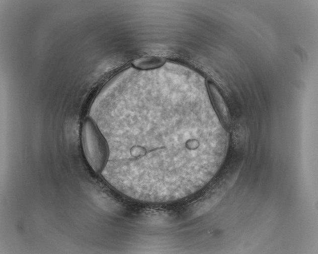 X0000111360207200908071200