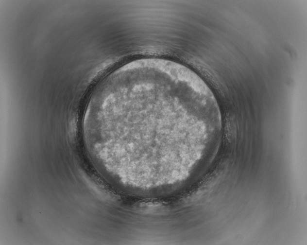 X0000111360208200908071200