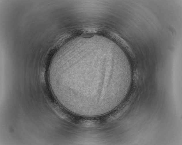 X0000111360209200908071200