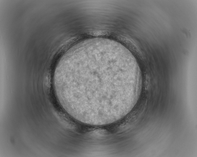 X0000111360210200908071200