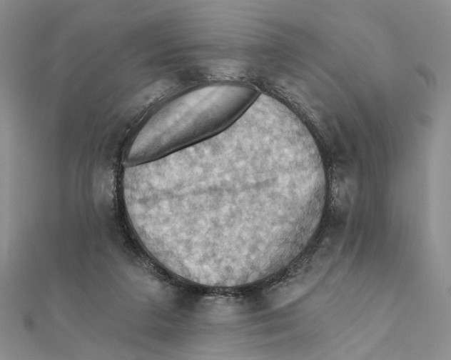 X0000111360211200908071200