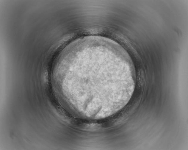 X0000111360212200908071200