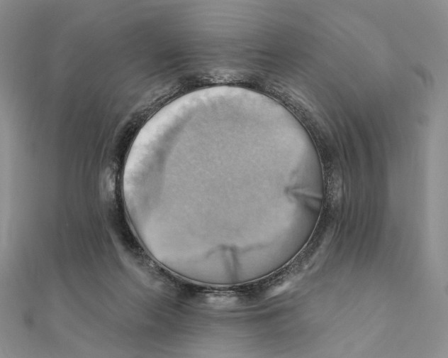 X0000111360214200908071200