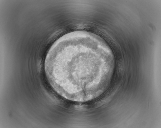 X0000111360216200908071200