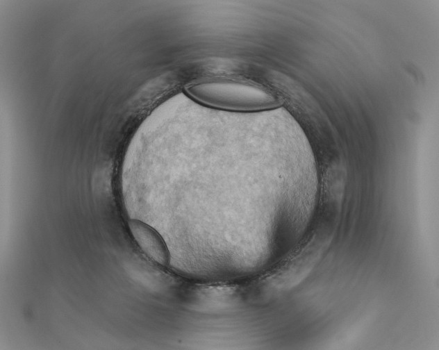 X0000111360217200908071159