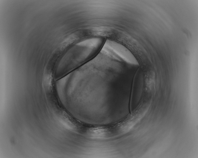 X0000111360219200908071159