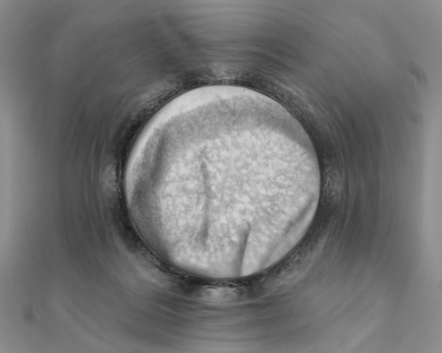 X0000111360220200908071159