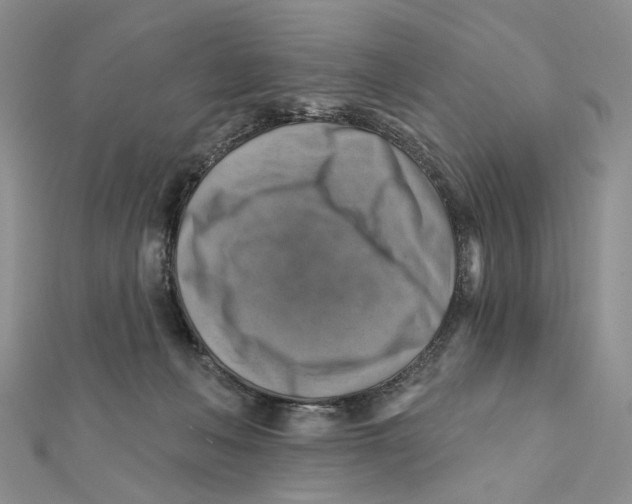 X0000111360222200908071159