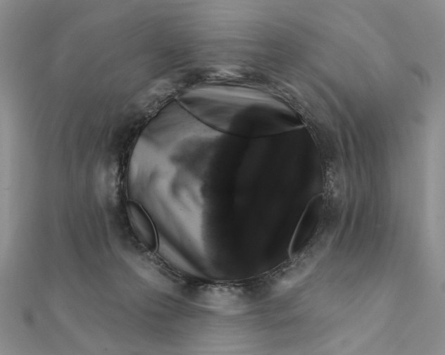 X0000111360223200908071159