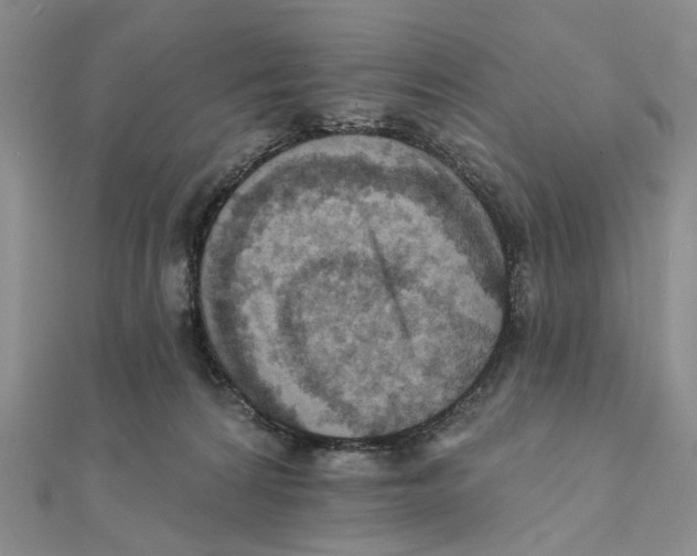 X0000111360224200908071159