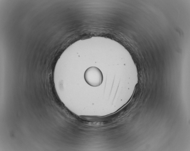 X0000111360225200908071159