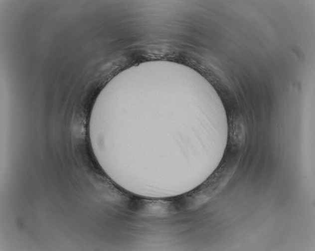 X0000111360226200908071159