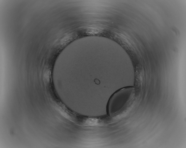 X0000111360227200908071159