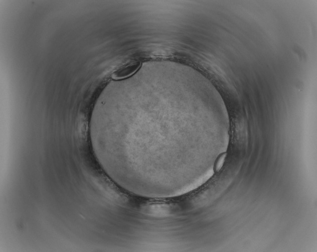 X0000111360228200908071159