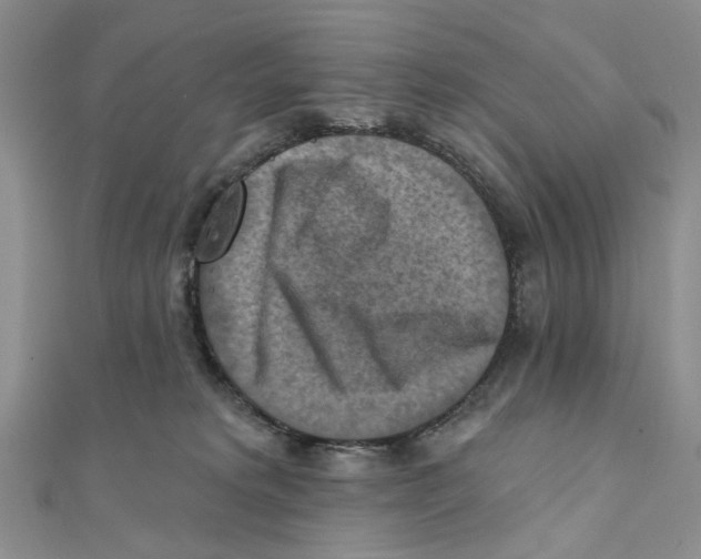 X0000111360229200908071159