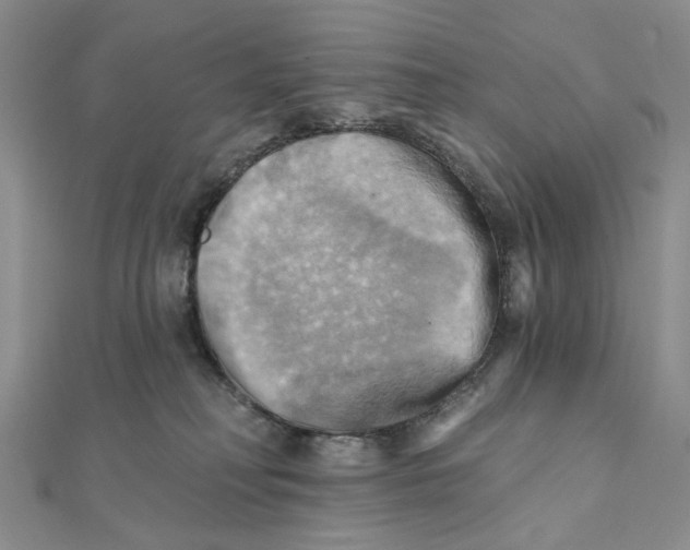 X0000111360230200908071159