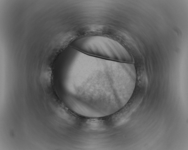 X0000111360231200908071159