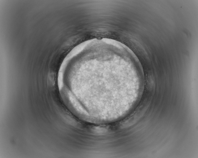 X0000111360232200908071159