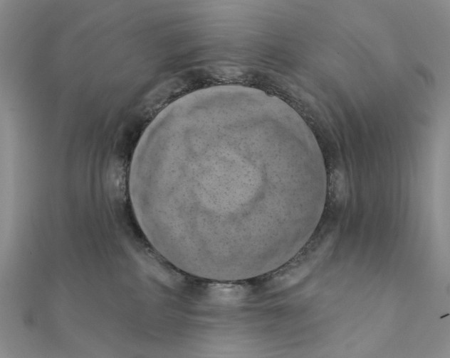 X0000111360234200908071159