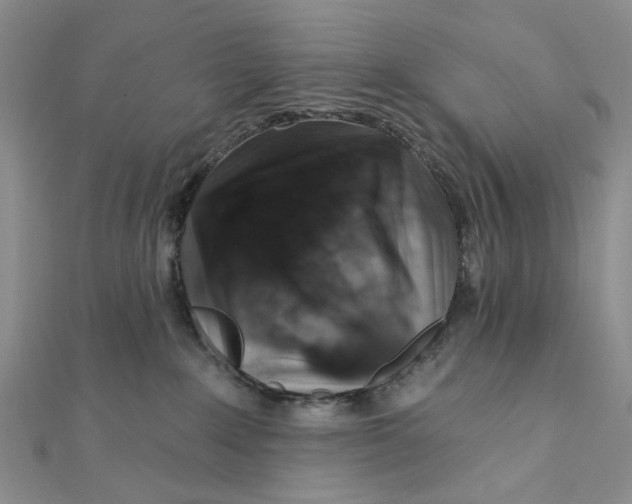 X0000111360235200908071159