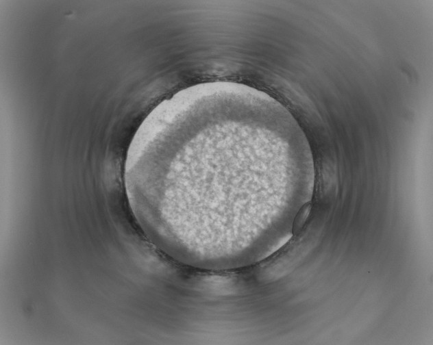 X0000111360236200908071159