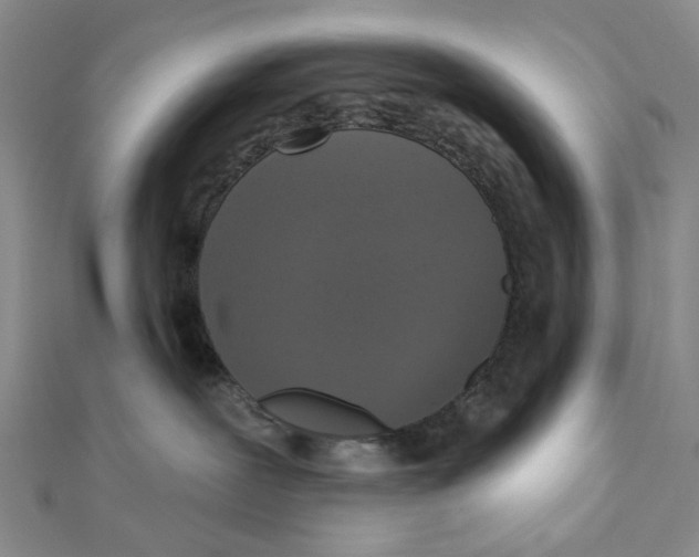 X0000111360239200908071159