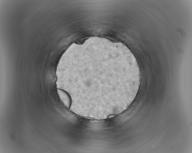 X0000111360240200908071159