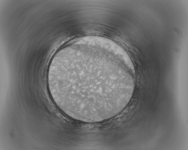 X0000111360241200908071159