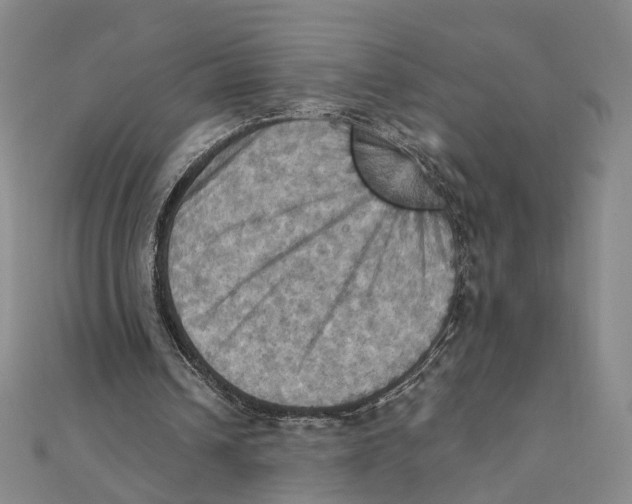 X0000111360242200908071159