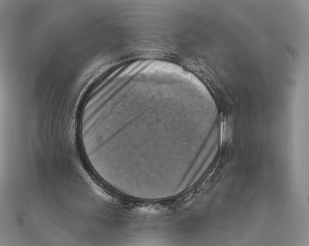 X0000111360243200908071159