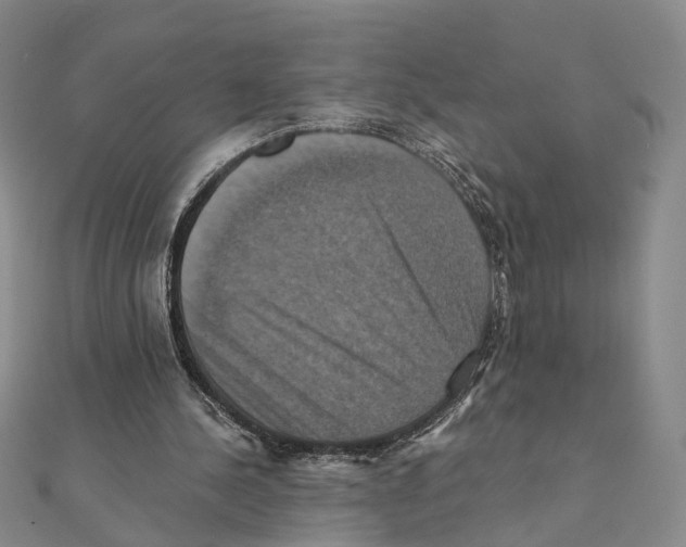 X0000111360244200908071159