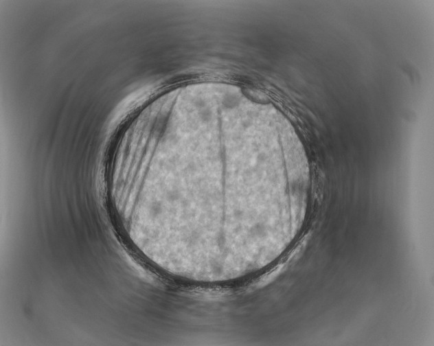 X0000111360245200908071159