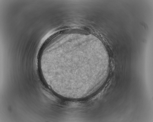 X0000111360246200908071159