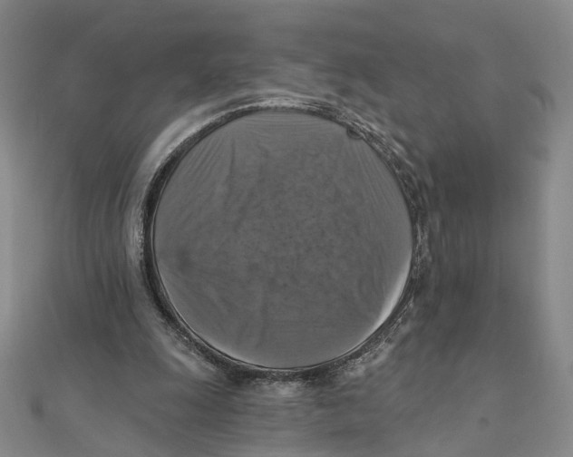 X0000111360247200908071159