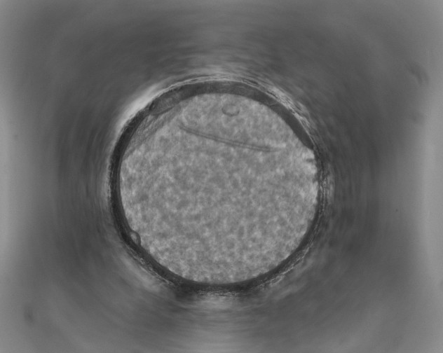 X0000111360248200908071159