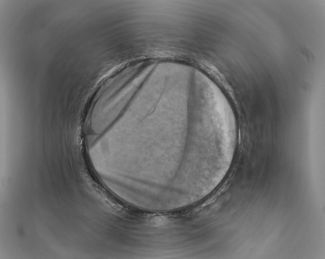 X0000111360249200908071159