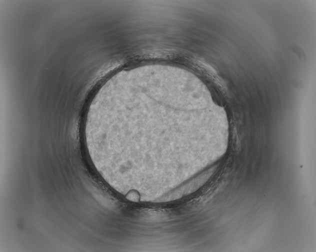 X0000111360250200908071159